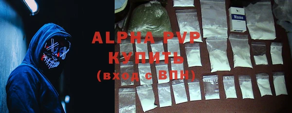 индика Нефтекумск
