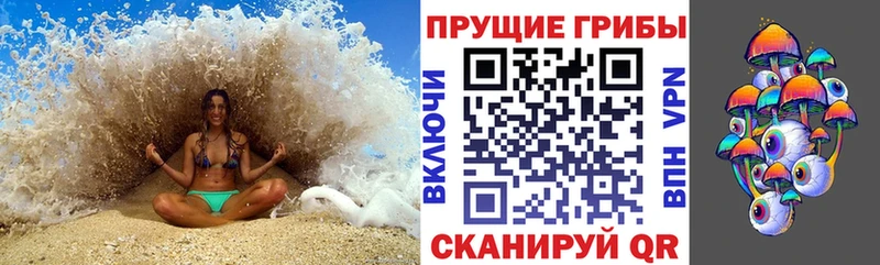 Галлюциногенные грибы Psilocybe  Нестеровская 
